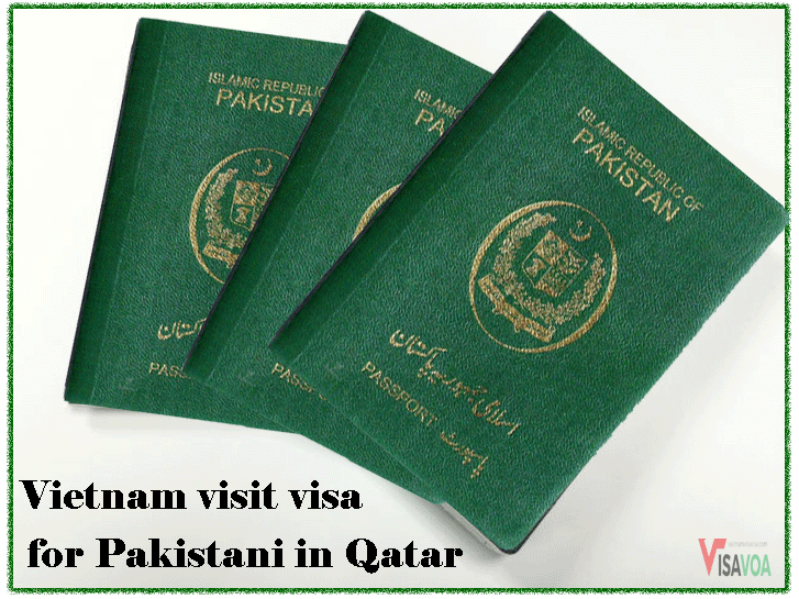 How to Make Vietnam Visa for Qatar Citizens