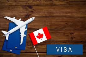 Ensuring a Smooth Application Process with the Canada Visa Eligibility Checker
