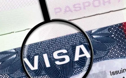 Navigating the New Zealand Visa Process for Swedish Citizens