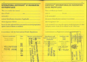 India's Visa and Yellow Fever Requirements for Rwandan Travelers