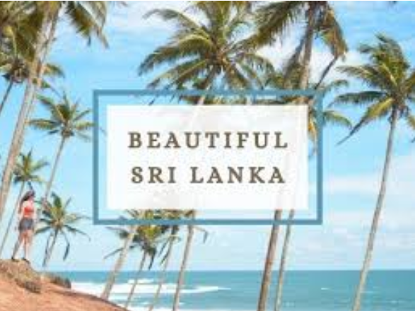 Exploring Sri Lanka: A Comprehensive Guide for Thai and Japanese Travelers